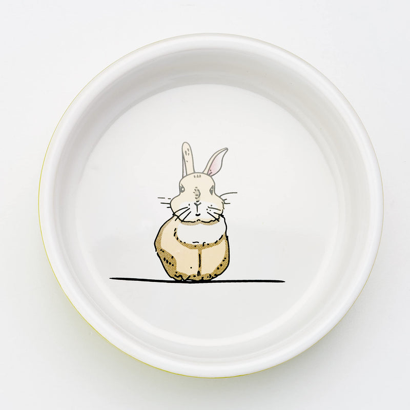 Nobby Rabbit Rodent Ceramic Bowl Diameter 11 cm x 4.5 cm Green / White Green/White - PawsPlanet Australia