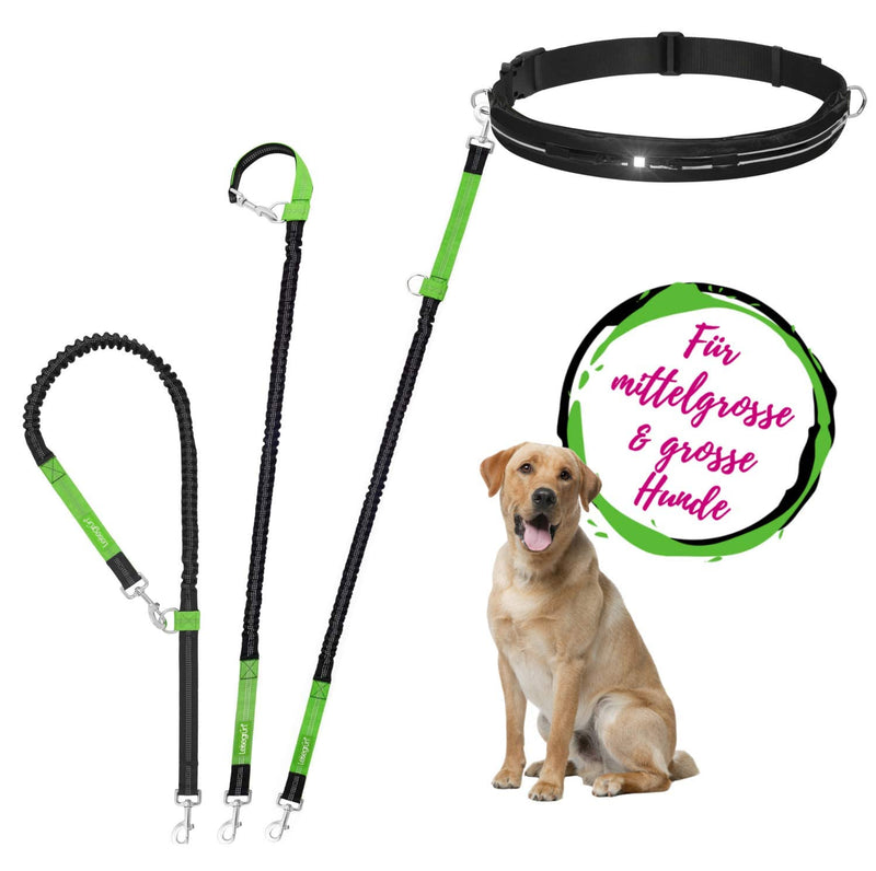 Quiet green jogging leash for large dogs | Freehand leash for jogging with waist belt and shock absorber | Length 125 cm to 175 cm | Color: Black Jogging Leash Set - Large Dogs - PawsPlanet Australia