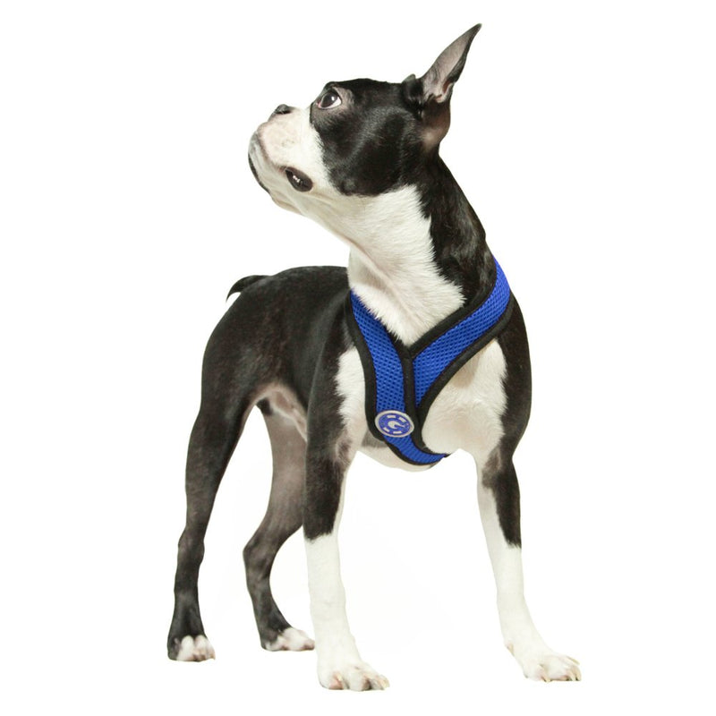 [Australia] - Gooby - Comfort X Head-in Harness, Small Dog Harness with Patented Choke Free X Frame Medium (9-15 lbs) Blue 