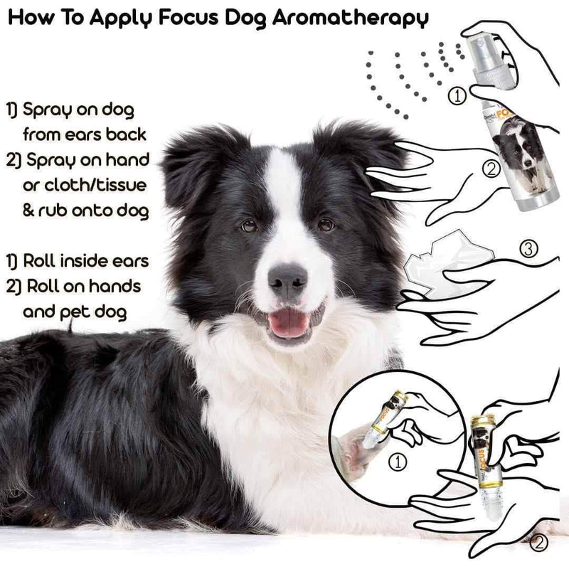 [Australia] - The Blissful Dog Aromatherapy for Canine Concentration 0.45-Ounce Roll-On Border Collie 