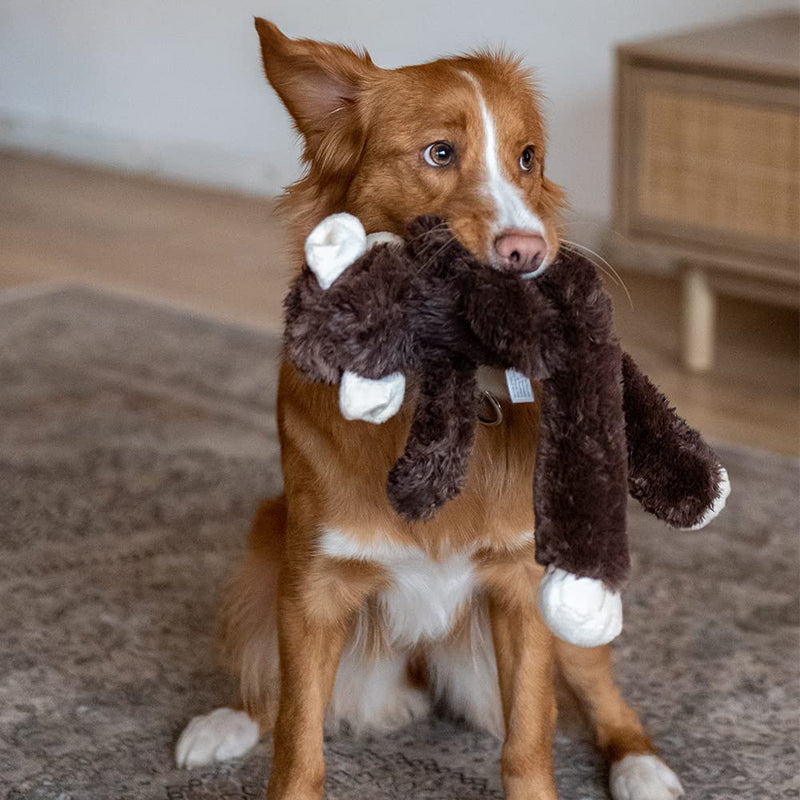 Nobby plush monkey for dogs 43 cm, 1 piece - PawsPlanet Australia
