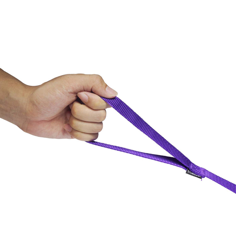 [Australia] - Siumouhoi Strong Durable Nylon Dog Training Leash, 1 Inch Wide Traction Rope, 6 ft 10ft 15ft Long, for Small and Medium Dog 10Feet Purple 