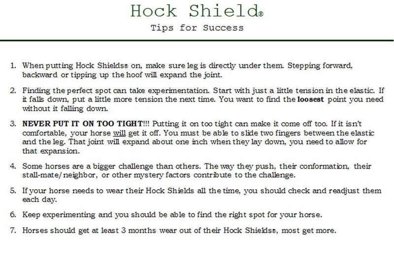 Intrepid International Hock Shield Protector X-Large Horse - PawsPlanet Australia