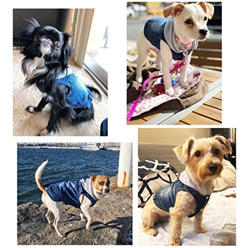 [Australia] - SILD Pet Clothes Dog Jeans Jacket Cool Blue Denim Coat Small Medium Dogs Lapel Vests Classic Hoodies Puppy Blue Vintage Washed Clothes XS Grey 