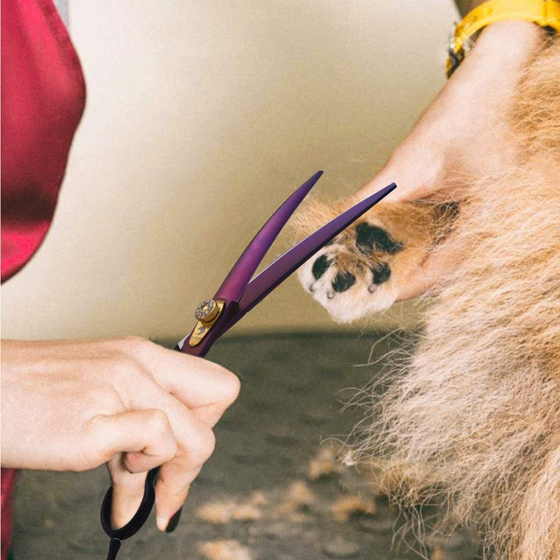 Dream Reach 7.0 inch Professional Curved Dogs Grooming Scissors Pet Grooming Scissors Set,Straight & Chunker & 2 Curved scissors 4pcs set for Dogs, Cats Grooming Shears (7 Inch-Down Curved Scissors) Down-Curved Scissor - PawsPlanet Australia