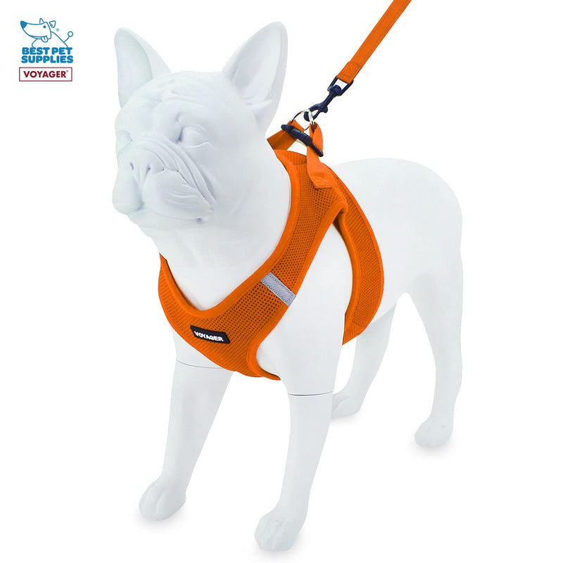 Voyager Step-in Air Dog Harness - All Weather Mesh Step in Vest Harness for Small and Medium Dogs by Best Pet Supplies M (Chest: 16 - 18") Orange Matching Trim (Leash Bundle) - PawsPlanet Australia