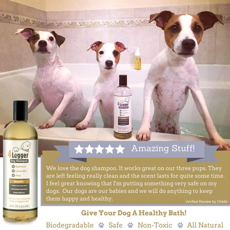 [Australia] - 4Legger Certified Organic Oatmeal Dog Shampoo with Aloe and Lavender Essential Oil - All Natural Safely Soothe, Condition and Moisturize Normal to Dry, Itchy Sensitive Skin - Made in USA - 16 oz 