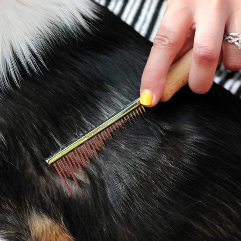 [Australia] - Safari Comb Short Hair Long Hair 