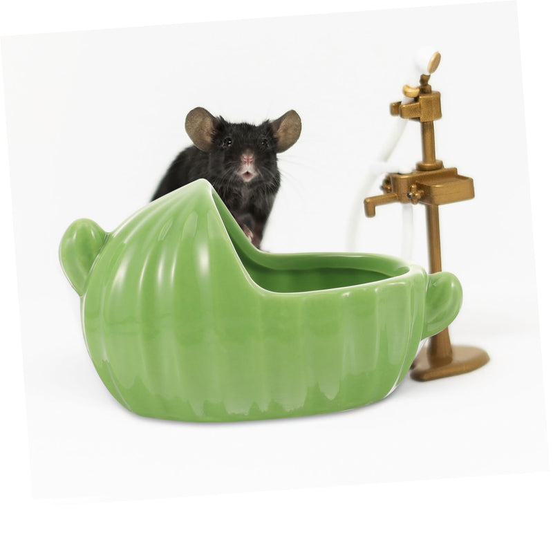 Pet Accessories Hamster Bathtub Cactus Toy Pet Accessories Small Animal Toy Reusable Chinchilla Bathtub Hamster Sand Bathtub Rat Bath Box Green Small - PawsPlanet Australia