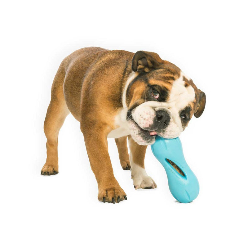 Qwizl Dog Toy L Blue 1 Count (Pack of 1) - PawsPlanet Australia