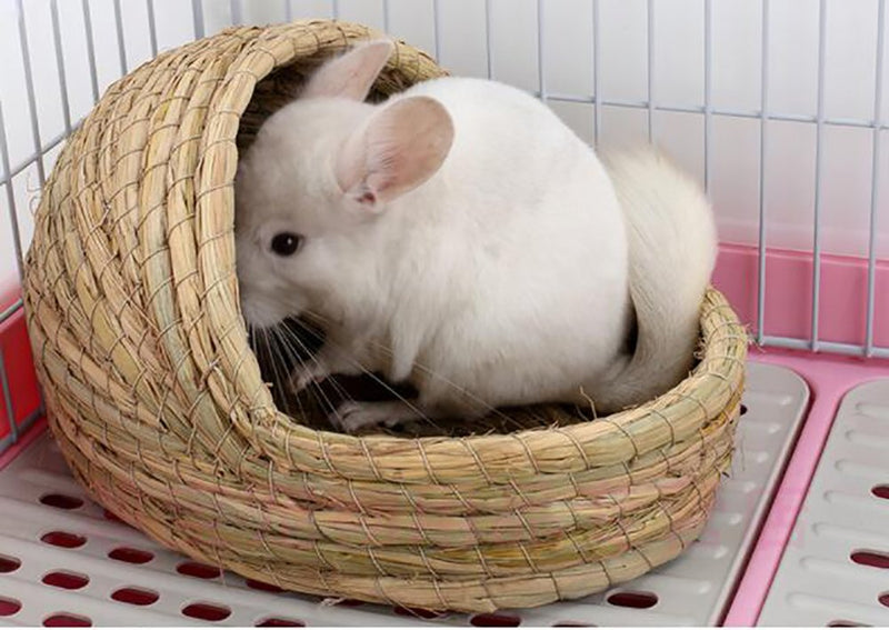 [Australia] - kathson Woven Pet hay Bed for Hamsters, Guinea-Pigs, Rabbits and Cats (1ball+Bed) 