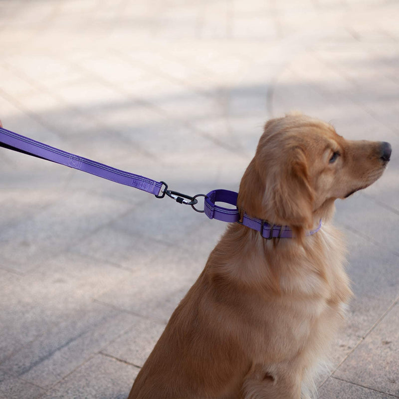 Hyhug 2021 Strong 3M Reflective Strip Double Color Nylon Jacquard Weave Webbing Martingale Dog Collar, Comfy Adjustable Safety, Durable Soft Breathable, Safe Night Walk. (Medium, Ultra Violet) 25mm Medium (14.5-21in) Ultra Violet Combination - PawsPlanet Australia