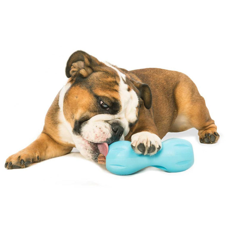 Qwizl Dog Toy L Blue 1 Count (Pack of 1) - PawsPlanet Australia