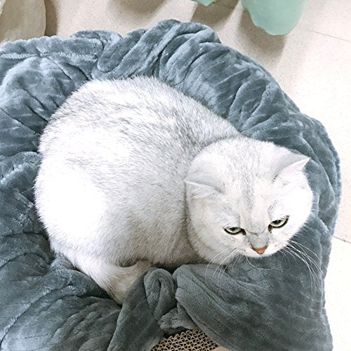 [Australia] - Creation Core Large 43.3x47.2 Super Soft Flannel Fleece Pet Throw Blanket for Dog Cat Puppy Kitten Warm Bed Mat for Car Cage Kennel L 43.3*47.2" 2# White 