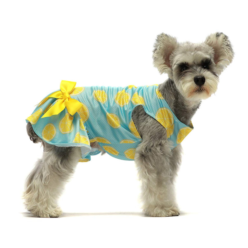 Fitwarm Lemon Summer Dog Dress Puppy Clothes Doggie Sundress Pet Vest Cat Apparel Water Blue XS - PawsPlanet Australia