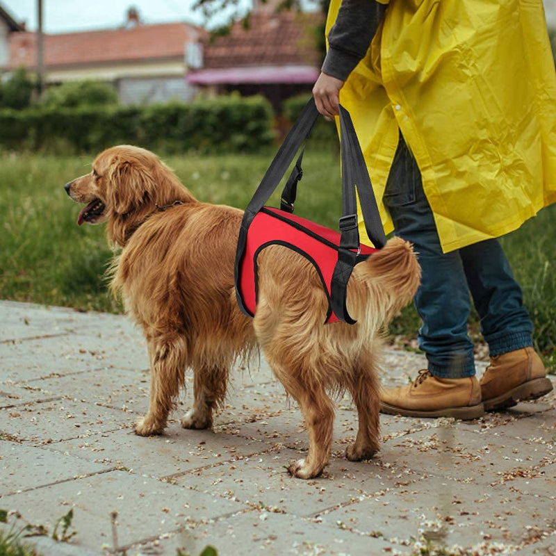 YOUTHINK Dog Support Harness Pet Walking Aid Lifting Pulling Vest for Old & Injured Dogs(Red) (Hind legs-M) Hind legs-M - PawsPlanet Australia