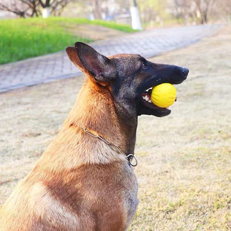 MoonZD Dog Toy,Rope-Ball Pet Toys,Durable Rubber Ball,Lightweight,Interactive Toys Outdoor,Indestructible Dog Chew Toy,Floats on Water–Great for Beach and Pool,Professional Dog Training Equipment - PawsPlanet Australia