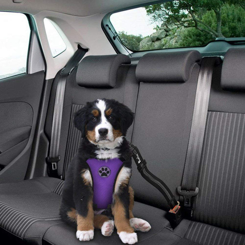 SlowTon Dog Car Harness Plus Connector Strap, Multifunction Adjustable Vest Harness Double Breathable Mesh Fabric with Car Vehicle Safety Seat Belt Small Purple - PawsPlanet Australia