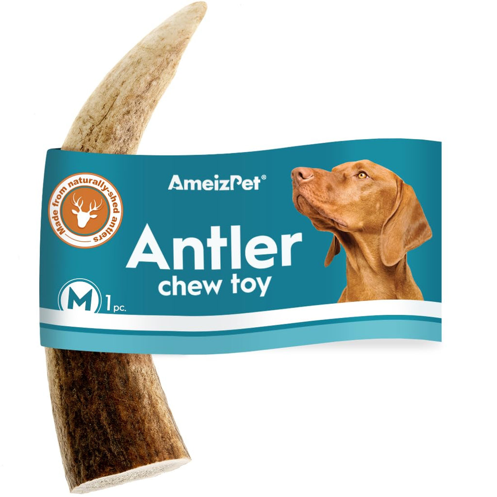 AmeizPet Antlers for dogs, natural, durable dog chew bone, deer chew bone for the dog, deer antler, long-lasting - 1 piece M size M size 1 pc - PawsPlanet Australia