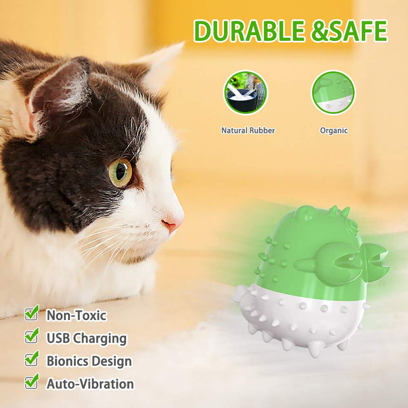 Achort Cat Toys, Cat Toothbrush Toy Interactive Chew Catnip Toy, Funny Kitten Teeth Cleaning toothbrush Nontoxic Natural Rubber Bite Resistant Toys (Green) - PawsPlanet Australia