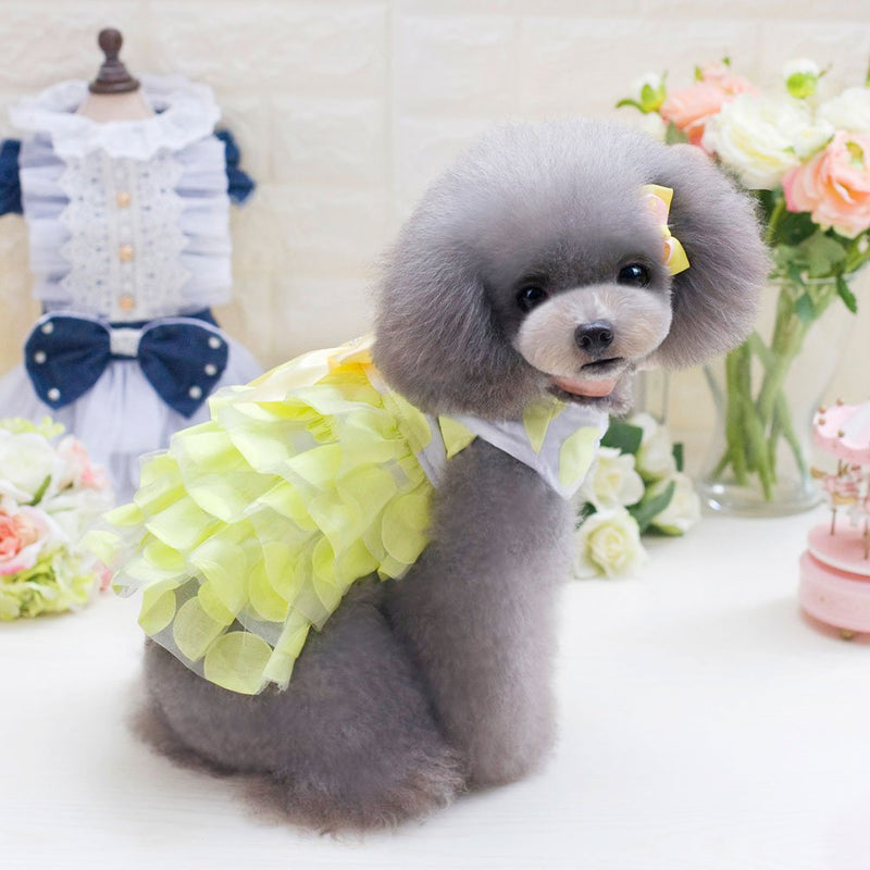 [Australia] - SMALLLEE_LUCKY_STORE YP0223-L Small Dog Sexy Party with Bow tie Princess Tutu Dog/Cat Clothes, Large, Blue Yellow 