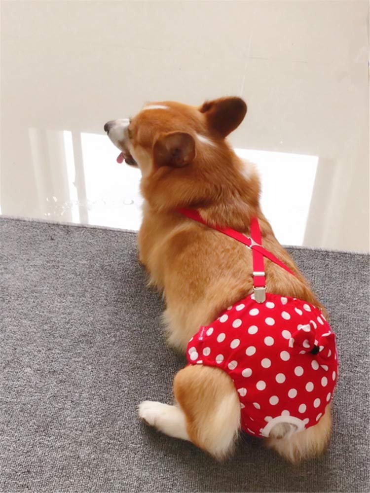 BT Bear Reusable Dog Nappies, Female Dog Nappies Pants Materials Durable Machine Washable Simple Solution For Pet Incontinence & Long Travels M: for waist 38cm～47cm Red Point - PawsPlanet Australia