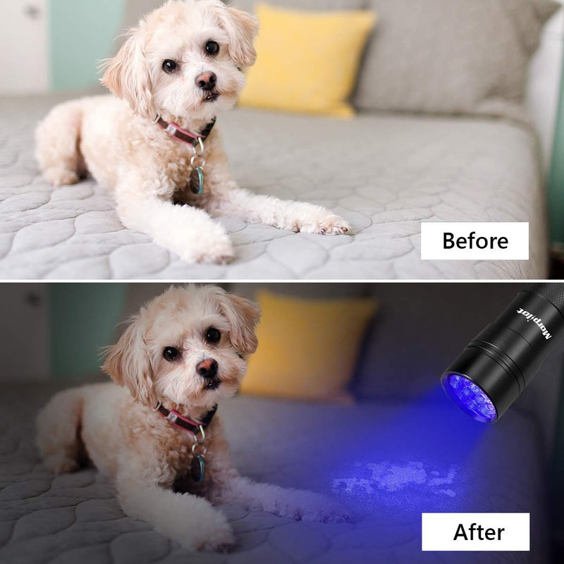 morpilot Black Light, 2 Pcs UV Handheld Blacklight Flashlights 12 Led 395nm Mini Light Torch Detector for Pets Urine and Stains - PawsPlanet Australia