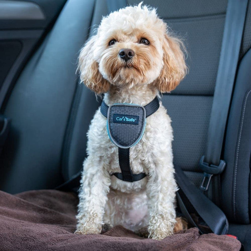 CarSafe Dog Travel Harness Car, safely secure dog in car, ensures road laws and insurance terms when travelling with your pet, for toy, small, medium and large dogs, Black X-Small - PawsPlanet Australia