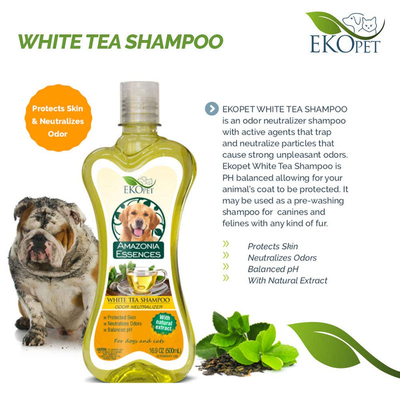 [Australia] - EKOPET All Natural Shampoo and Moisturizing Aloe Conditioner Vet and Pet Approved for Dogs and Cats - 16.9oz (Available Single and Bundle Shampoo + Conditioner) White Tea 