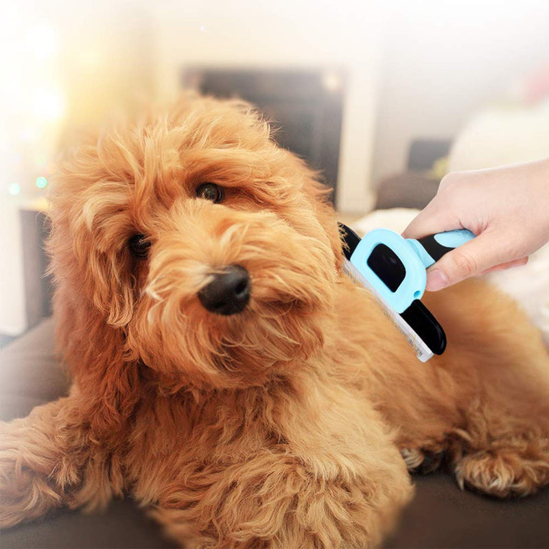 MIU COLOR Dog Deshedding Brush, Desheeding Tool for Large Dogs, Short Haired Dogs Cats Brush for Removing Loose Hair, Dog Deshedder Blue - PawsPlanet Australia