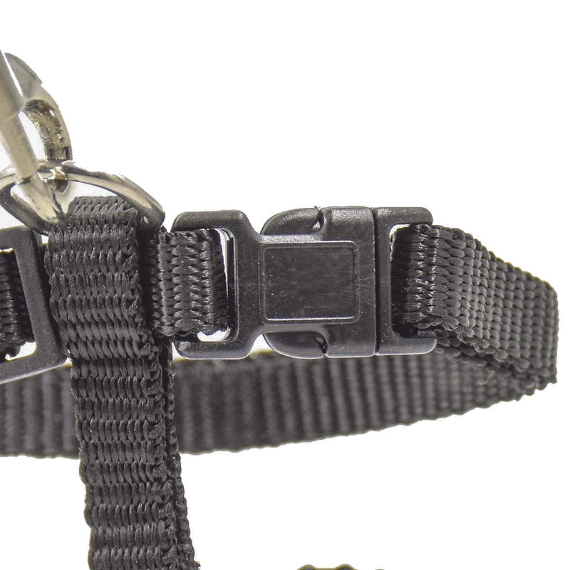 XPangle Cat Harness and Leash Adjustable Nylon Halter Harness Kitten Nylon Strap Belt Safety Rope Leads Black - PawsPlanet Australia