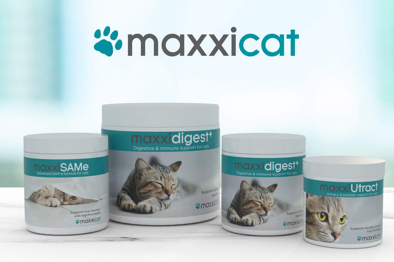 maxxipaws maxxiSAMe Advanced SAM-e Liver and Cognitive Supplement for Cats Given with Food, Powder 90 g 90g - PawsPlanet Australia