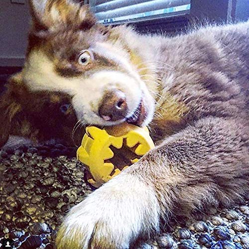 [Australia] - Industrial Dog by SodaPup - Natural Rubber Treat Pocket - Fetch & Dental Chew Toy - Yak Chew Holder - Made in USA - For Heavy Chewers - Yellow - Large 