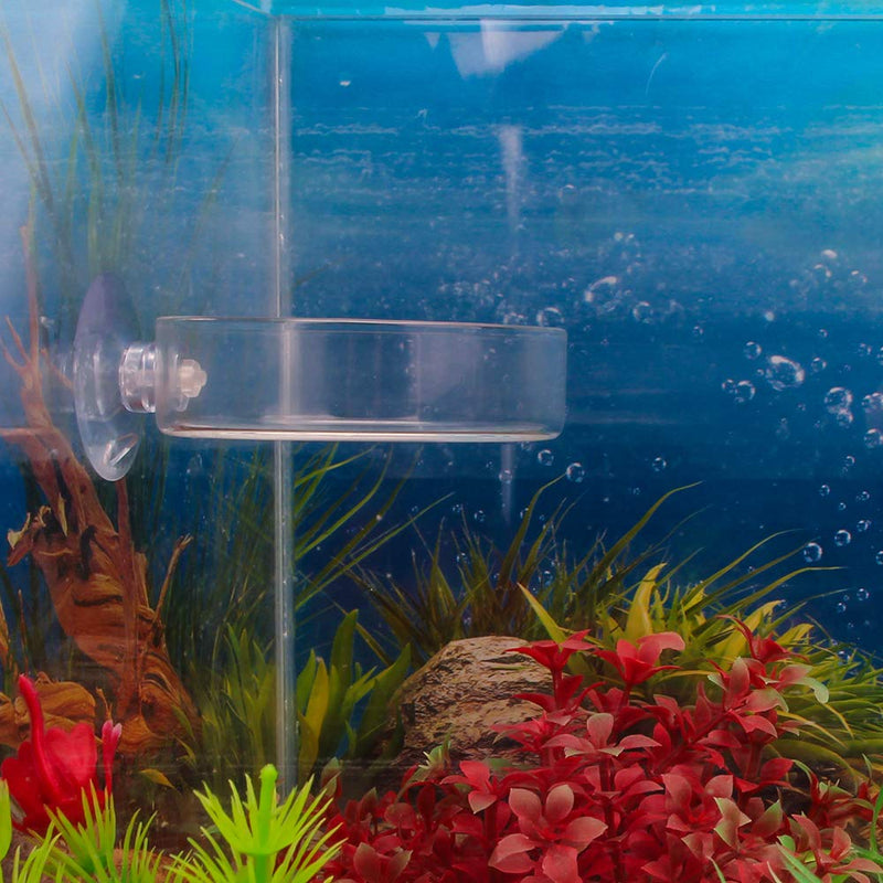 SENZEAL 2PCS Glass Shrimp Feeding Dish Bowl Round Food Feeder Bowl for Aquarium Fish Tanks Reptiles Home Kitchen with Suction Cup - PawsPlanet Australia