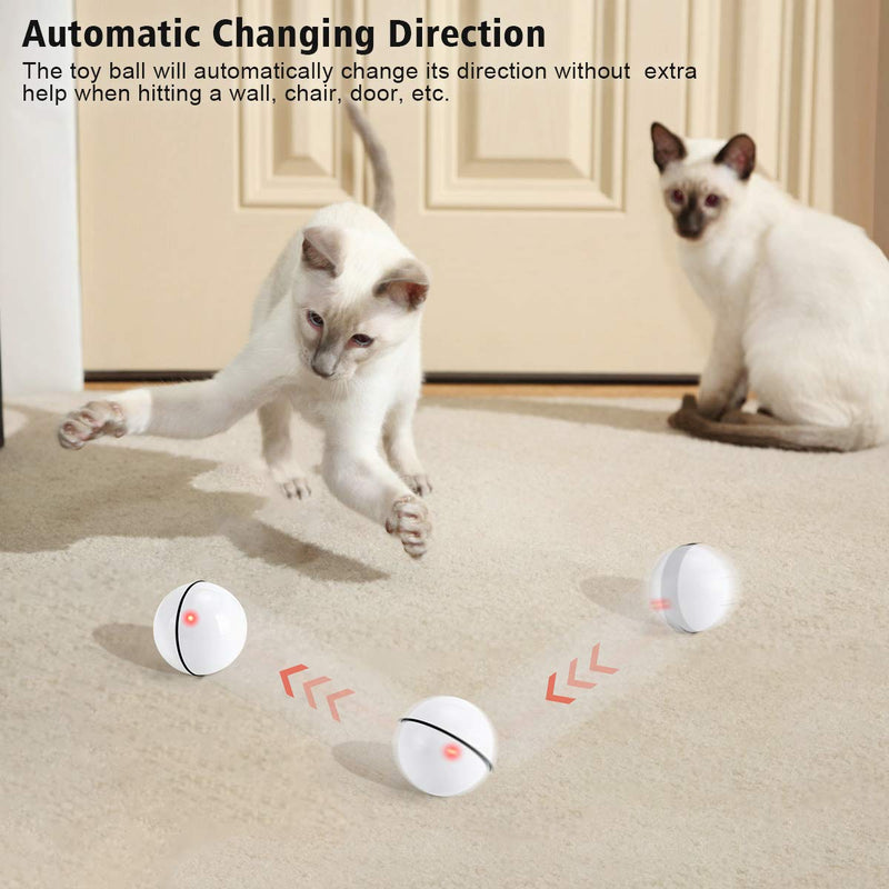 WWVVPET Interactive Cat Toys Ball with LED Light,360 Degree Self Rotating Ball,USB Rechargeable Cat Ball Toy,Stimulate Hunting Instinct Kitten Funny Chaser Roller Pet Toy - White Pearl White - PawsPlanet Australia