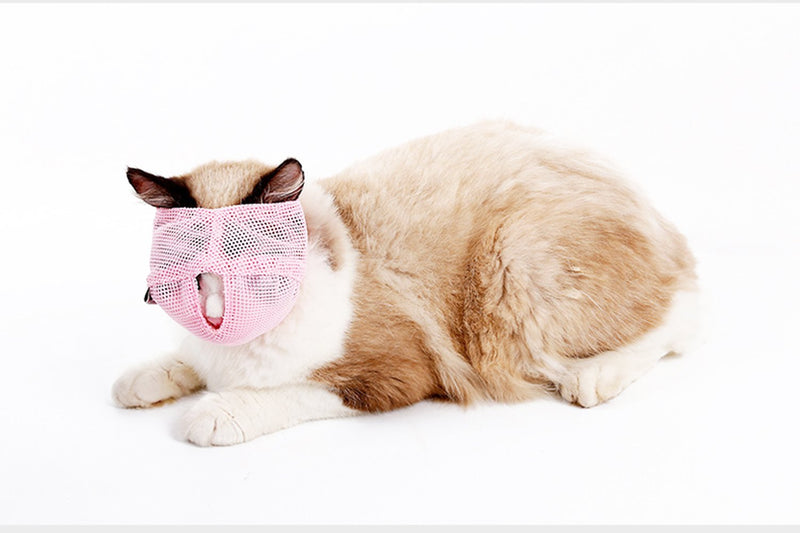 [Australia] - ZOOPOLR Cat Muzzles - Breathable Mesh Muzzles Prevent Cats from Biting and Chewing - Anti Bite Anti Meow BLUE-L 