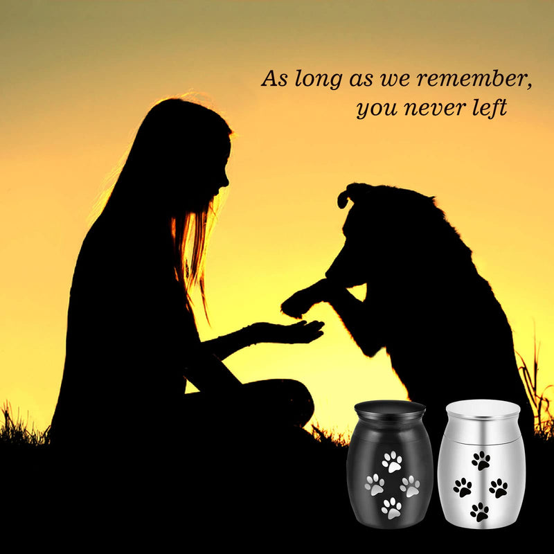 Parrots Treasure Pet Urns for Dog Ashes, Pet Memorial Cremation Urns for Dogs and Cats Ashes, Dog Keepsake Urns with Paw Prints 2 - PawsPlanet Australia
