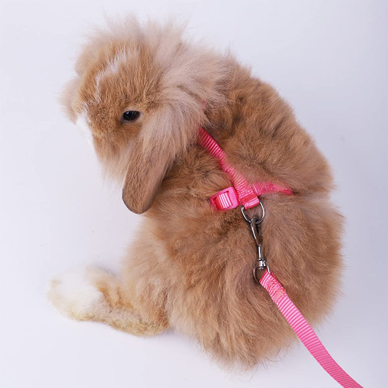Pack of 2 Pet Rabbit Harnesses, Adjustable Nylon Harnesses, Rabbit Harness, Pet Harness and Leash for Cats, Rabbits, Puppies, Ferrets and Other Small Animals (Sky Blue, Pink) - PawsPlanet Australia