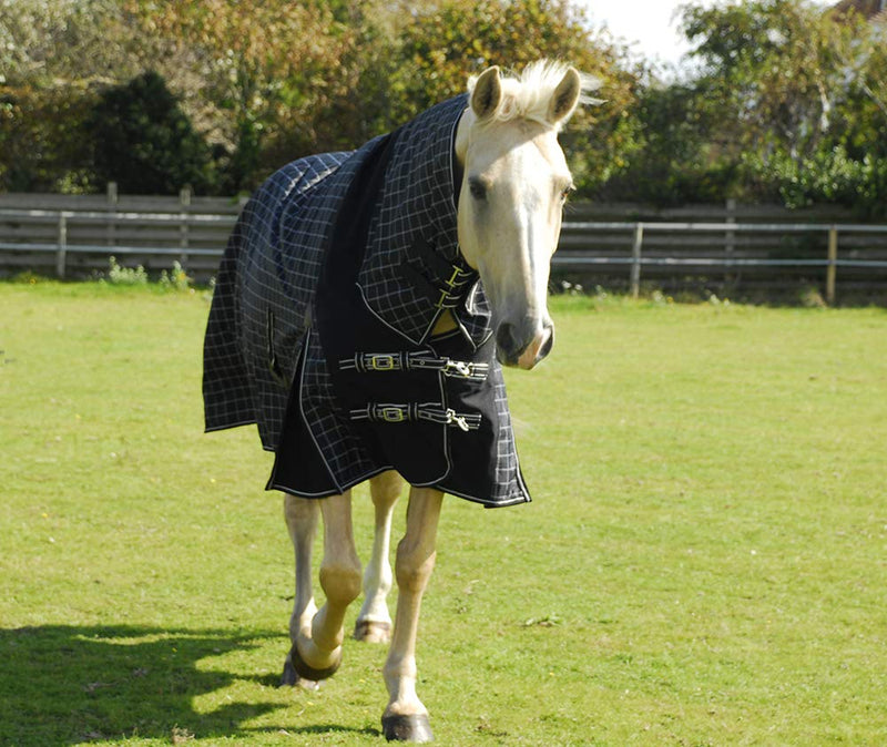 Rhinegold Elite Full Neck Montpelier Rug Mid/Light 100gsm Fill Black/White Check 5'6" - PawsPlanet Australia