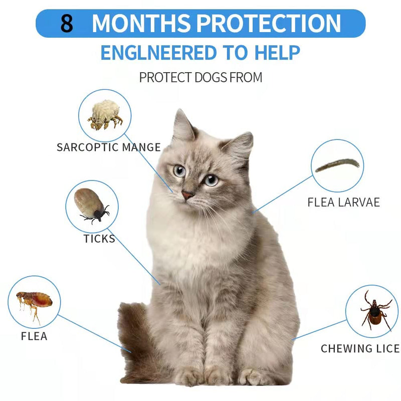 Flea and Tick Prevention for Dogs, flea and tick Collar for Dogs, One Size Fits All, 27 inch, 8 Month Protection, Charity… 1 PACK CAT - PawsPlanet Australia