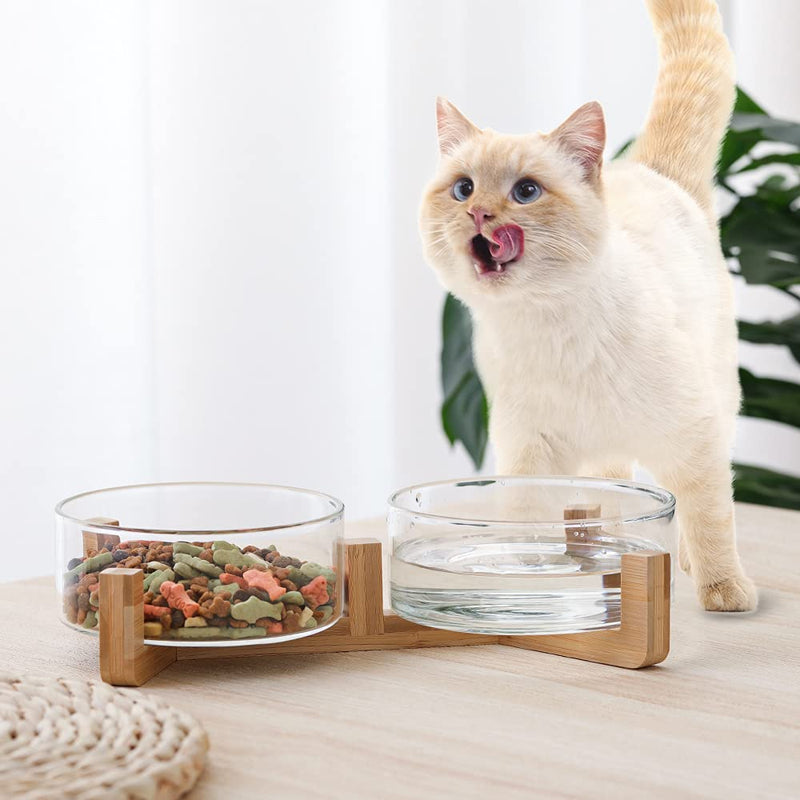 Glass Dog Bowl Set - Cat Dog Bowls with Non Slip Wood Stand - No Spill Double Pet Dish for Food Water Feeding (2 Cup- Suitable for cat and small dog) Glass×2 - PawsPlanet Australia