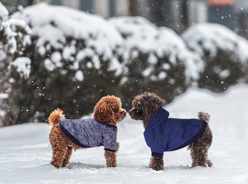 2 Pack Pet Dog Clothes Knitwear Dog Sweater Dog Hoodie Sweatshirts Soft Thickening Warm for Small Dogs Coat Clothing Cat Custume (Blue, Small) Blue - PawsPlanet Australia