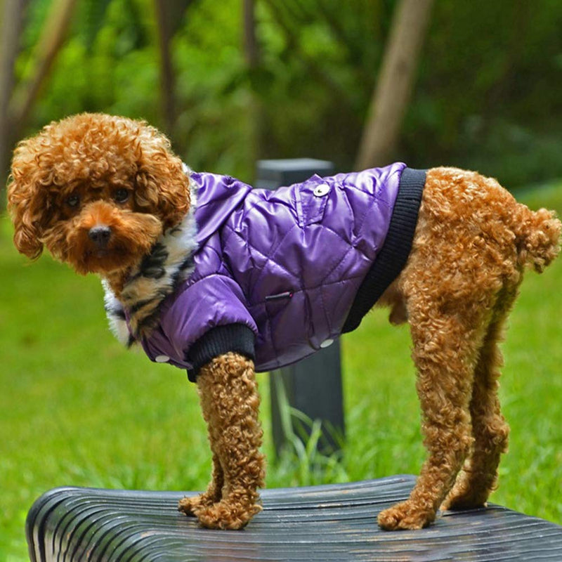 Balai Small Dog Faux Hoodie Thick Jacket Pet Puppy Waterproof Warm Coat Clothes for Small Breed Dog Like Chihuahua XXL - PawsPlanet Australia