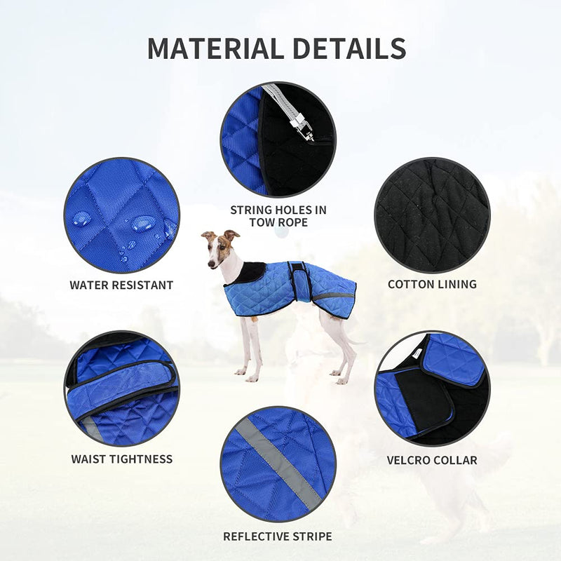 Greyhound Winter Coat, Dog Jacket Waterproof, Whippet Coat Dog Raincoat, Waterproof Dog Coats, Dog Jumper Jacket for Medium, Large Lurcher Salukis Greyhound Dog in the Rainy Season or Winter - Blue XS - PawsPlanet Australia