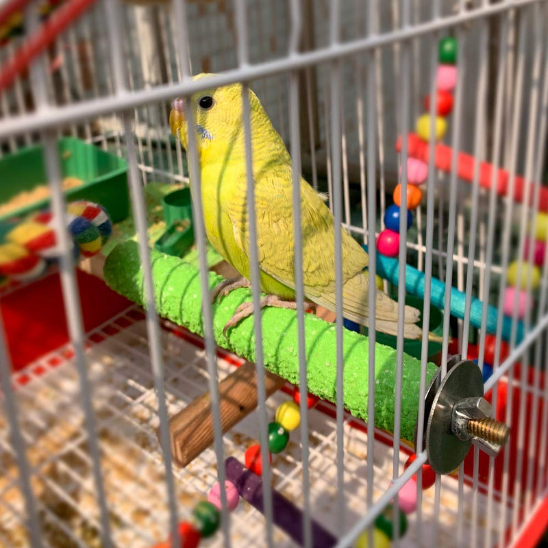 [Australia] - LIMIO Bird Perch Hamster Toys Parrot Stand 4PCS Rough Sand Wood Perch Bird Cage Accessories for Parakeets Supplies Budgie Natural Wood Platform 