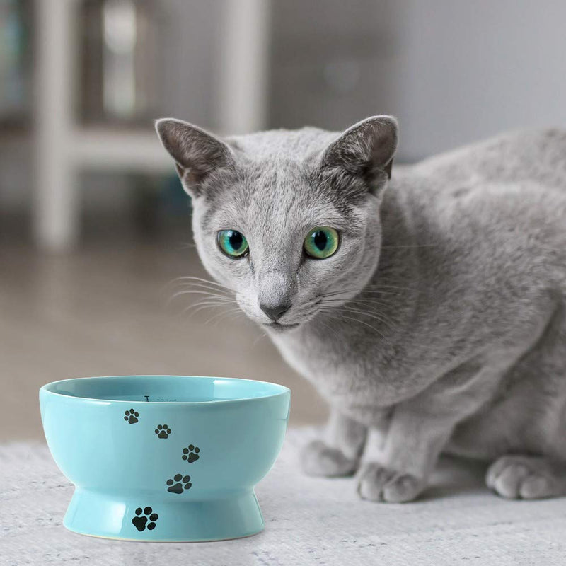 Y YHY Raised Cat Food and Water Bowl Set, Tilted Elevated Cat Food Bowls No Spill, Ceramic Cat Food Feeder Bowl Collection, Pet Bowl for Flat-Faced Cats and Small Dogs, Set of 2, Blue - PawsPlanet Australia