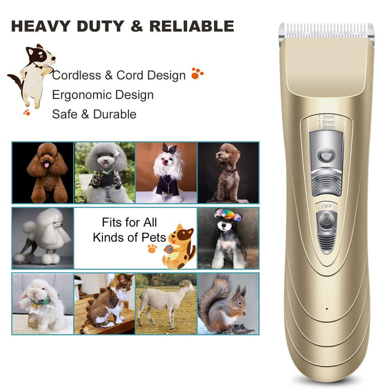 [Australia] - AIBORS Dog Grooming Clippers kit with 12V High Power Low Noise for Thick Coats Heavy Duty Plug-in Pet Trimmer Electric Professional Hair Clippers for Dogs Cats Pets, 2 Pack Blades Gold 