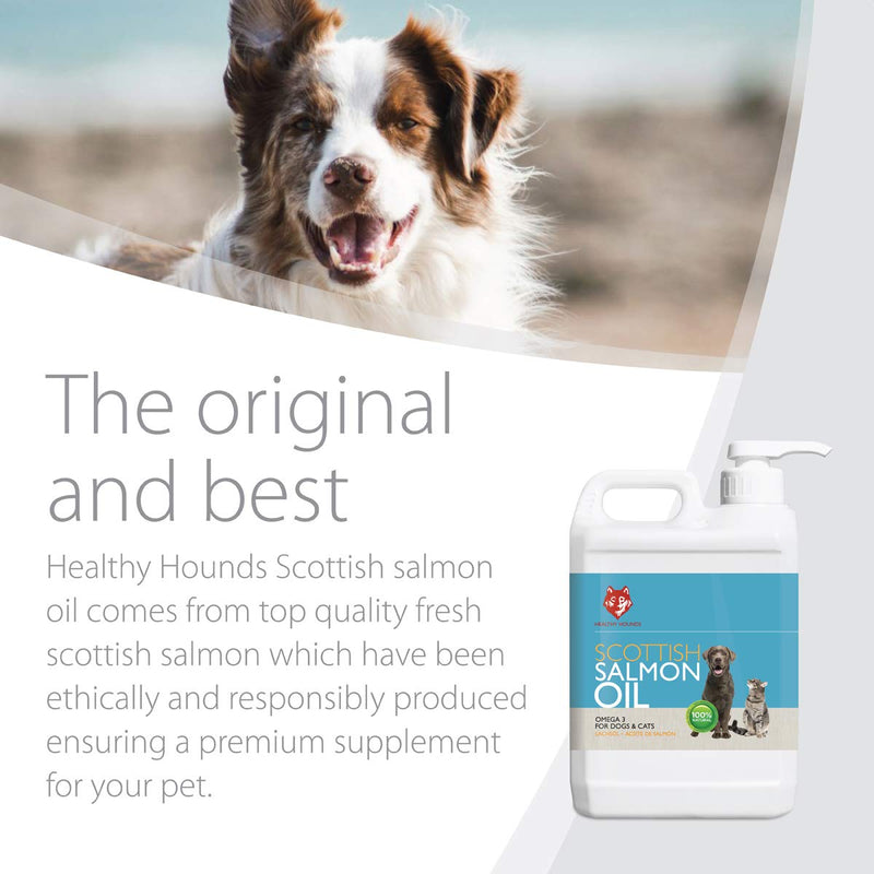 Healthy Hounds Scottish Salmon Oil for Dogs, Cats, Horses, Ferrets & Pets 2500 ml | 100% Pure Premium Food Grade Natural Omega 3, 6 & 9 Supplement | Promotes Coat, Skin, Joint & Brain Health - PawsPlanet Australia