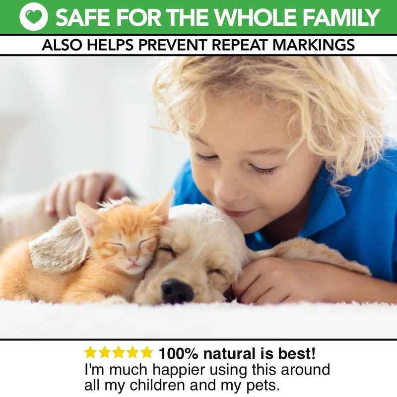 The Healthy Dog Co All Natural Pet Stain and Odour Remover for Dogs & Cats | Enzyme Pet Carpet Cleaner Spray & Deodoriser | Kills Germs, Removes Vomit, Urine, Faeces, Drool, Smells | 1 Litre - PawsPlanet Australia