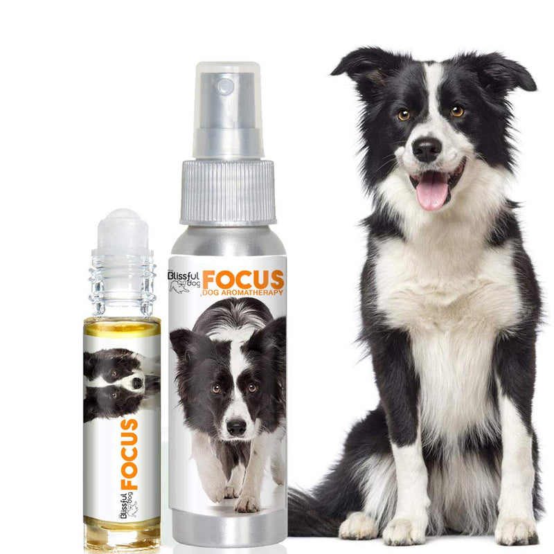 [Australia] - The Blissful Dog Aromatherapy for Canine Concentration 0.45-Ounce Roll-On Border Collie 